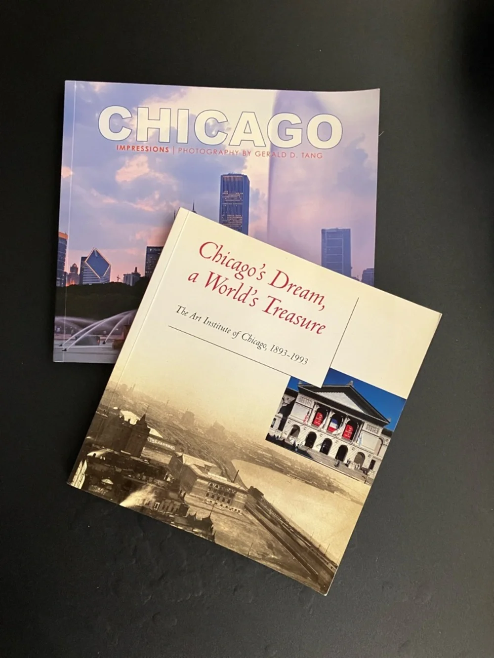 Chicago Art & Photography Bundle 2 Paperback Books City History Memorabilia